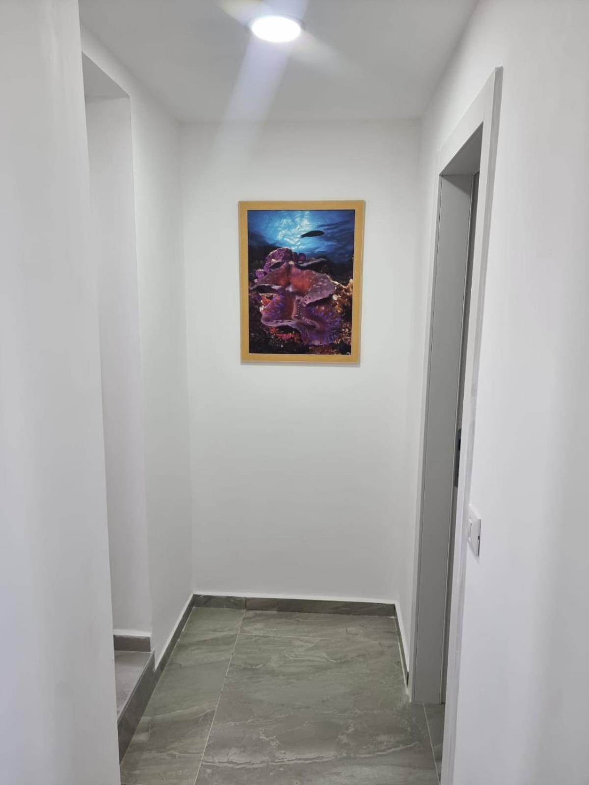 דירת גג נוף המפרץ 1105-6 Lägenhet Eilat Exteriör bild